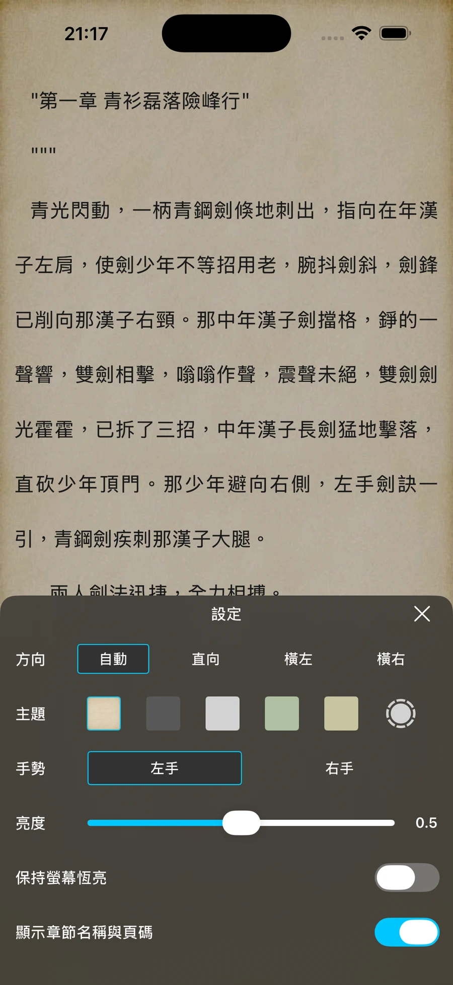閱讀設定：方向、主題色票、慣用手手勢與亮度